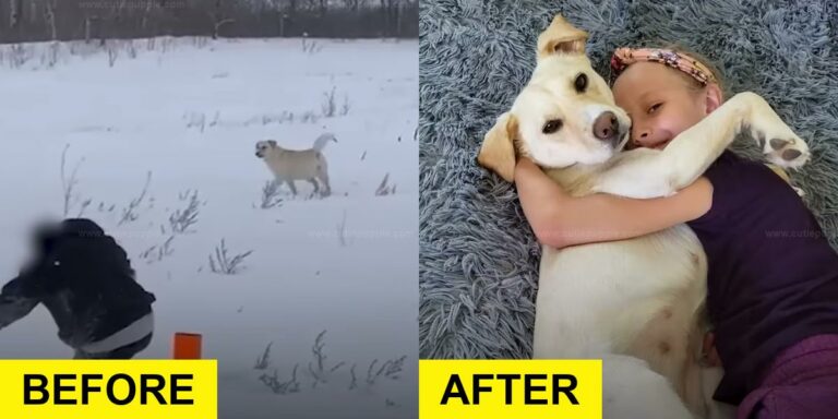 Feral Mama Learns Love After Overcoming Fear of Leashes